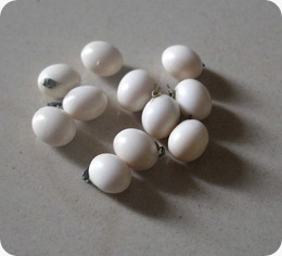 Rosary Pea (Kacang Polong Rosary) putih