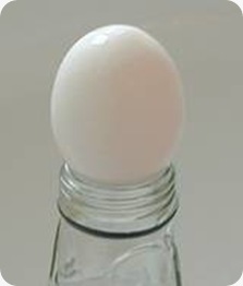 memasukan telur ke dalam botol wanibesak